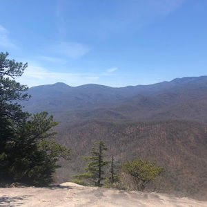 Meet your Posher, Marjorie